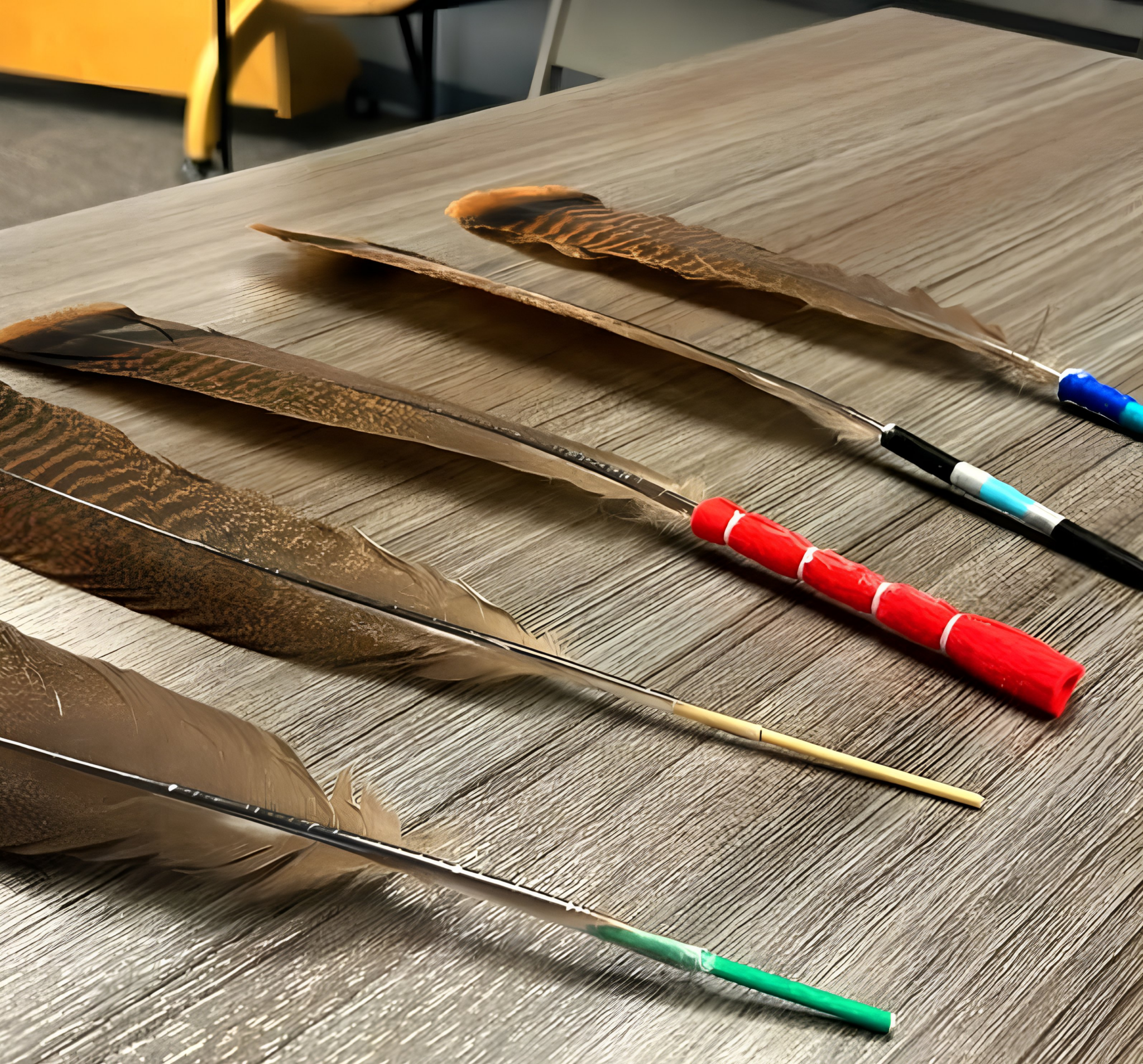 a group of feathers on a table